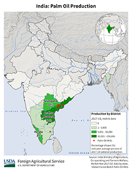 images\IN\cropprod\India_Palm Oil_preview.png